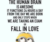 202126-Funny-Minion-Love-Quote.jpg