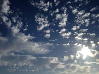 IMG_5386.JPG
