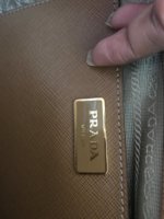 IMG_2333.JPG.jpeg