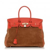 hermes-veau-doblis-swift-grizzly-birkin-35-chamois-capucine-00.jpg