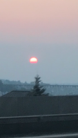 IMG_4053.PNG