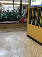 IMG_8066.JPG