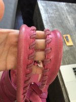 image.jpeg