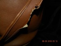 chewed strap 1.jpg