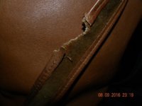 chewed strap 3.jpg