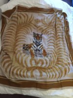 Tigre Royal1.JPG