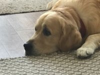 IMG-20170825-WA0003.jpg
