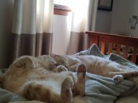 20170507_101650.jpeg