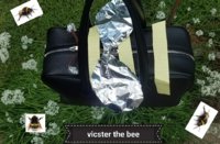 hermes vic as bee.jpg