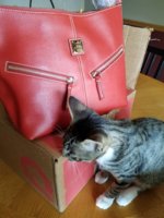 20170831_134756.jpeg
