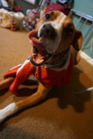 DSC05440.JPG