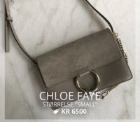Chloe 2.jpg