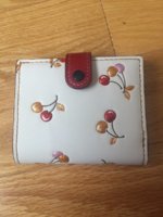 Cherry Trifold 3.JPG