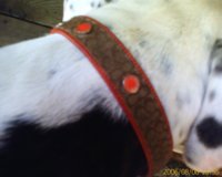 IMAGE_00076.jpg
