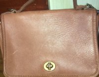 leather_elephant skin stretch marks-g.jpg