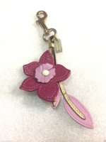 PenelopeDaffodil_001.jpg