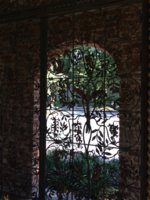 IMG_3811.JPG