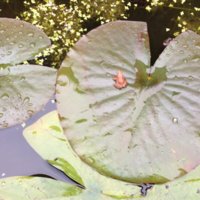IMG_0048.JPG