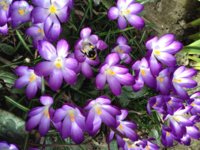 IMG_0196.JPG