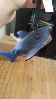 20170922_182409.jpg