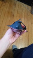 20170922_182507.jpg