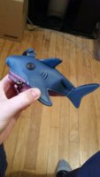 20170922_182539.jpg