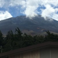 IMG_2539.JPG