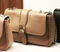 Sur-Seine Bag in Greige.jpg