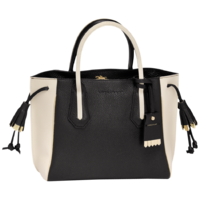 longchamp_top-handle_penelope_bicolore_L1294PFL301_0.png