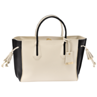 longchamp_top-handle_penelope_bicolore_L1295PFM701_0.png