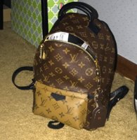 Louis Vuitton Palm Springs Backpack Mini Review with Mod Shots (ENG SUB) 