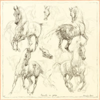 Piruette au Gallop cw 08 140 CSGM.jpg