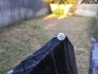 IMG_1508596976.766167.jpg