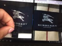 Burberry tag coat ashcatt.JPG