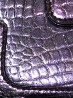 IMG_3581.jpeg