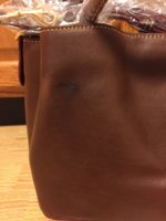 IMG_2512.JPG