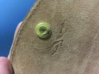 IMG_20171027_192034_860.jpg