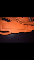 IMG_1359.PNG