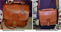 gutsy girls - different bags shown in listing.png