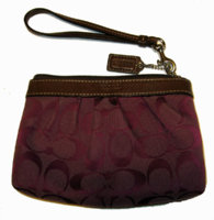 coachpurplechangepurse2.jpg