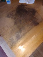 IMG_20171103_160038629.jpg