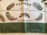 Plumes title copy downres.jpg