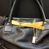 Chloebag3.jpg