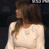 jpeg melania brooches jpeg.jpg