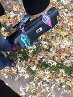 IMG_1510241792.944135.jpg