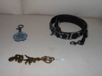 DSCN1310.jpg