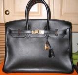 Birkin 001.jpg