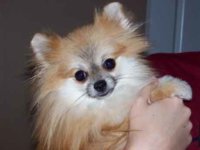 Little-Einey.jpg