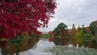 DSC_1303.jpg