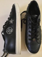 coachhaul - 2.jpg